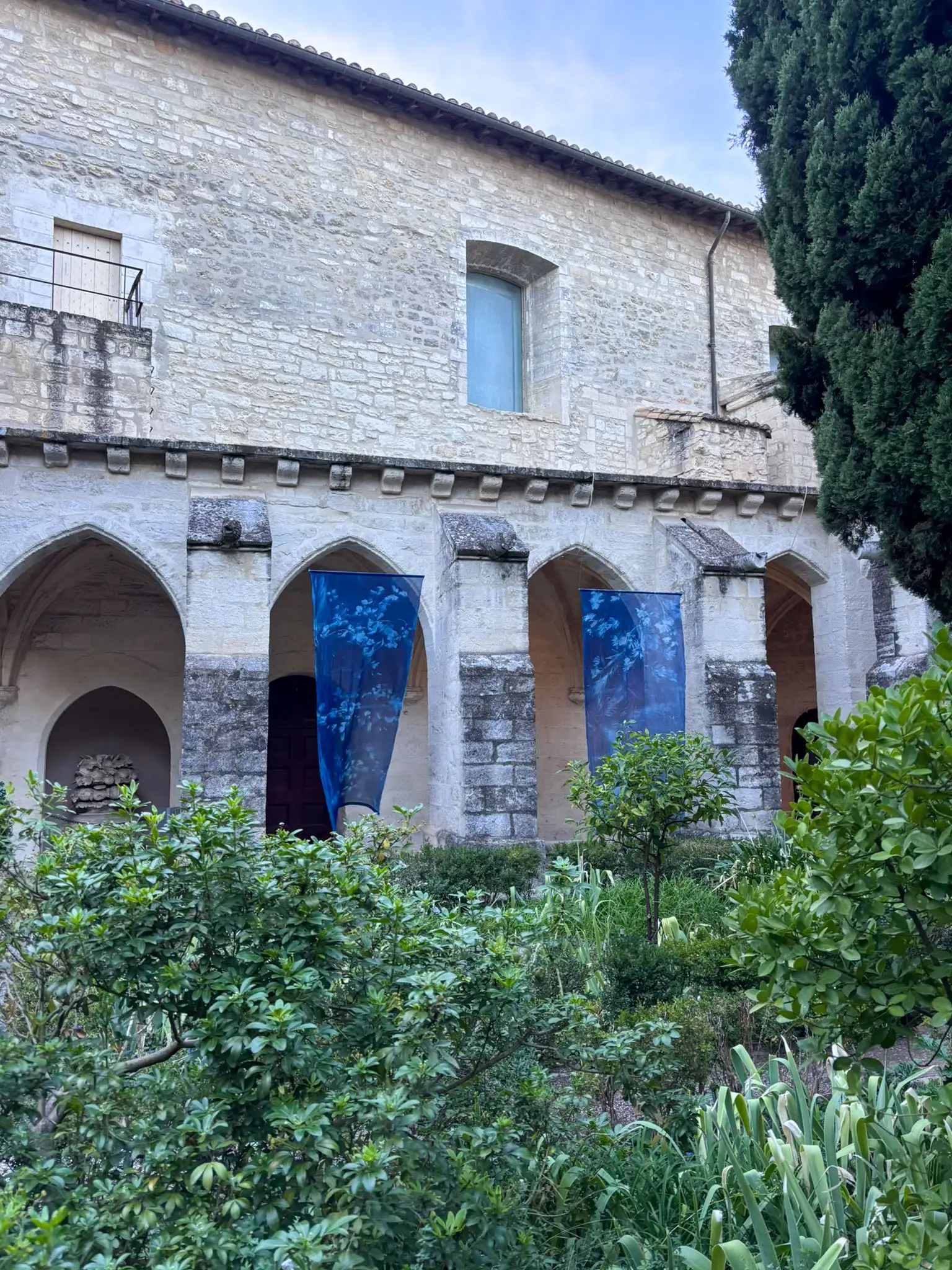 Chartreuse26 (17)